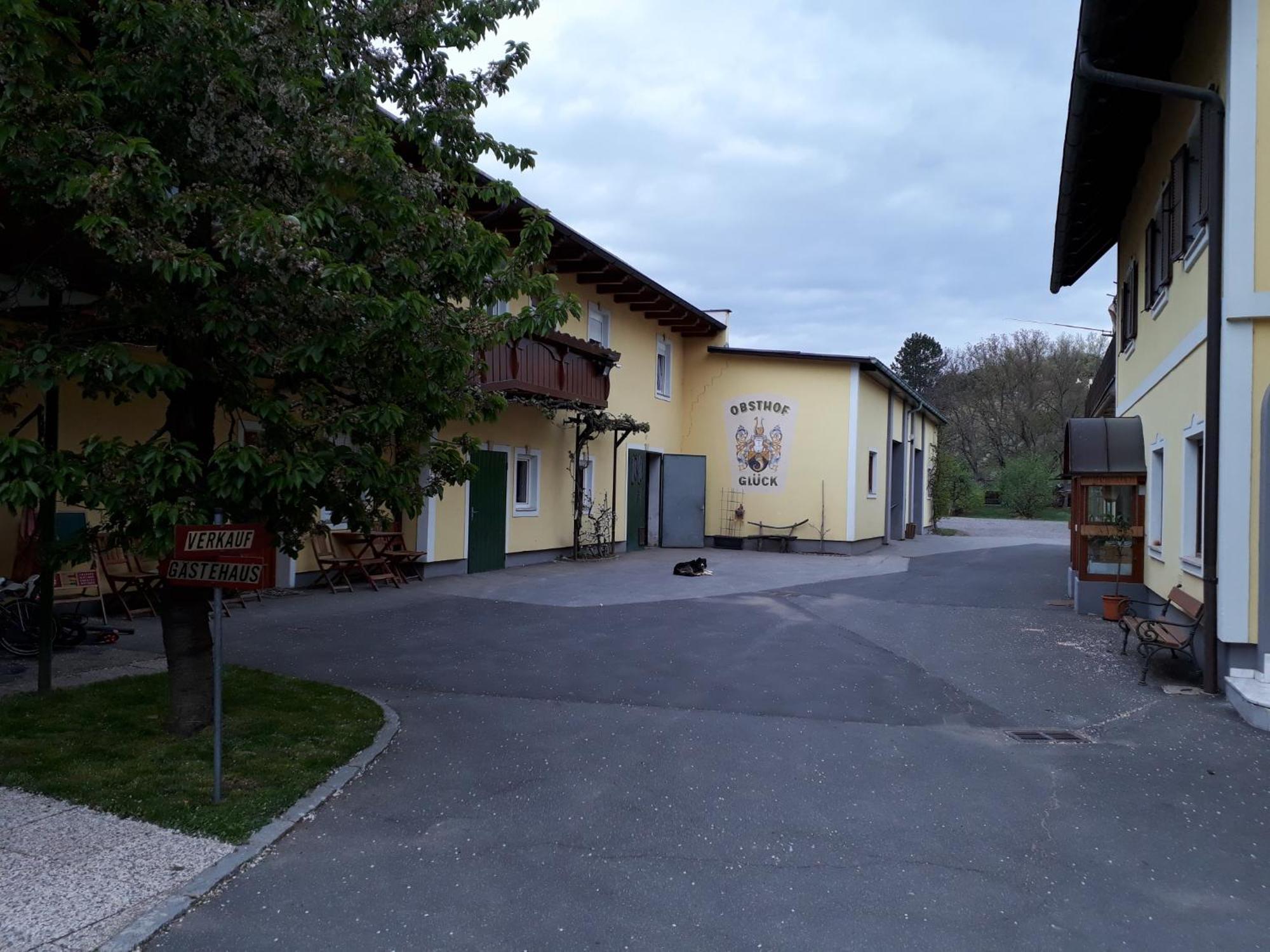 Obsthof Glueck Bed and Breakfast Gamlitz Exteriör bild